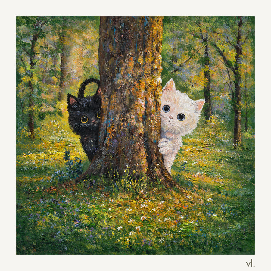 Hide and Seek