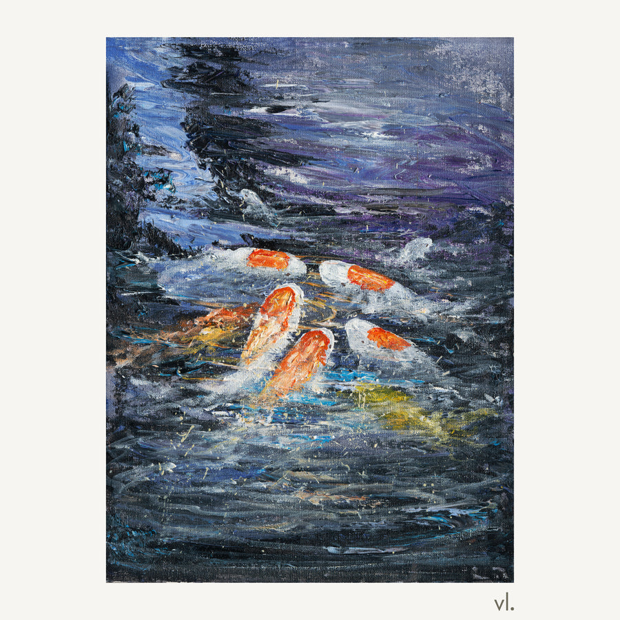 Koi Study